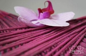 Absolute Pink Sayli Incense 50gm Bundle
